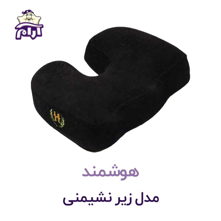 زیر نشیمنی هوشمند