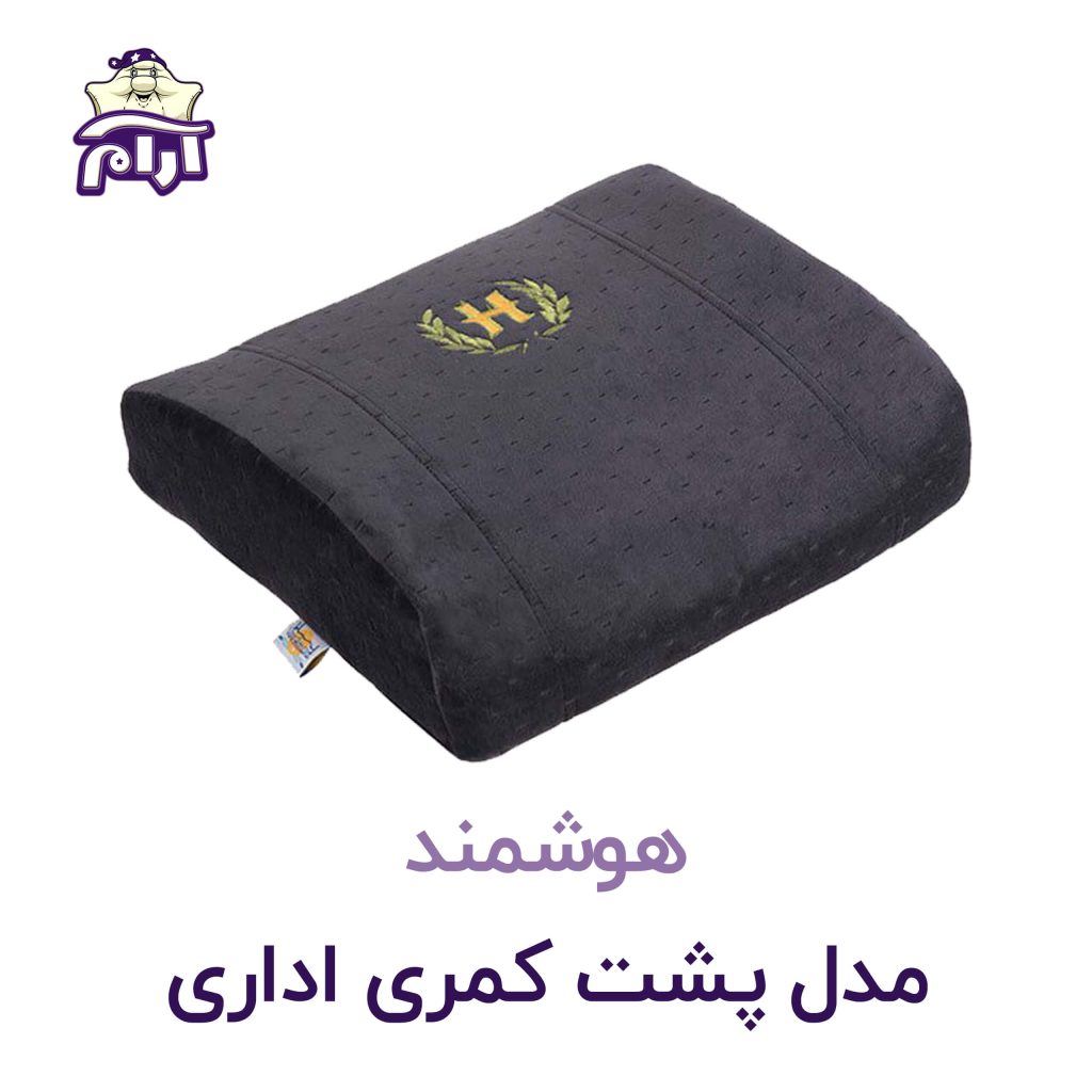 پشت کمری اداری هوشمند
