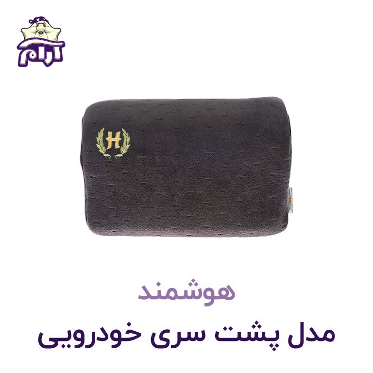 پشت سری خودرویی هوشمند