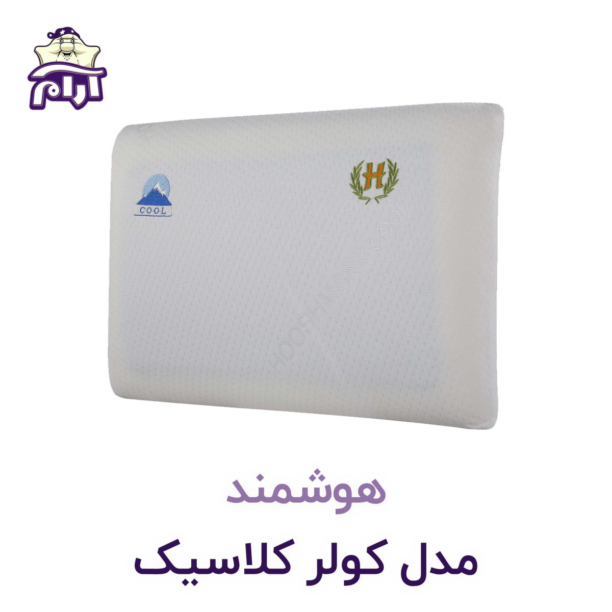 aramkhab.com-pillow-of-the-classic-cooler-1.jpg